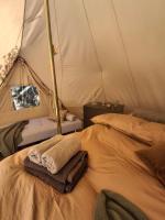Halden Glamping - B&B Halden