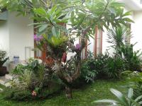 Jepun Bali Homestay Sanur - B&B