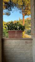 L’ Aia del Principe - Chambres d'hôtes Montepulciano