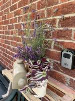 Jenga Garden Sanctuary Minutes to Bath And BRS - Ferienwohnung Farmborough