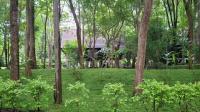 Cottage upon Tyne คอทเทจริมธาร - Woodland Cabin for 6 - Ferienwohnung Ban Tha Manao