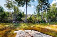 Dog-friendly, bayfront home w/rocky beach, full kitchen, washer/dryer & firepit - B&B Gouldsboro