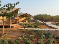 Eutierra living - B&B Punta Braccetto
