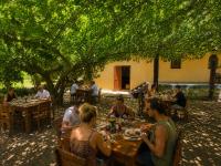 Mansa Musso Lodge - B&B Sanyang