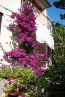 Apartments Rožić - B&B Rab