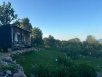 Casa Tamy Bran - B&B Sohodol