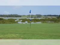 Wattle Downs Palm Beach Studio - Bed and Breakfast Auckland
