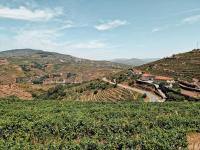 Fonte Country House with Jacuzzi - Douro Valley - Chambres d'hôtes Lamego