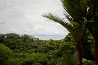 Puravidovo, ocean view, hill side - B&B Golfito