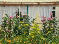 Stone Mountain Guest House - B&B Bokombayevskoye