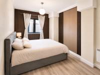 The City Nest Apartment - Chambres d'hôtes Limerick