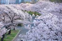 青葉邸-BLUE SKY-Osaka Castle Temmabashi 3BR Family Residence - B&B Osaka