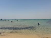 Dar Fatma - Bed and Breakfast Hammamet