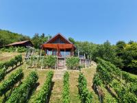 Hiška oddiha - Rest house - B&B Sromlje