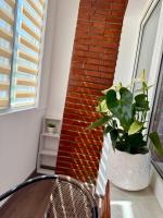 Anais Central Apartment - B&B Topliţa