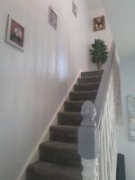 Seville Grove - B&B Kilkenny