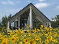 Yellow House Natakhtari - B&B Mtskheta