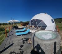 GlampingDenis Igloo - B&B Mihăeşti