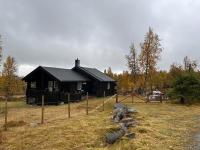 Cozy cabin on Golsfjellet west - Auenhauglie - Ferienwohnung Gol