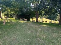 Ferienwohnung am Chemnitztalradweg - B&B Taura