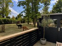 Le Wellness des alpagas - Ferienwohnung Huy