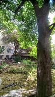 Seele baumeln lassen - B&B Vienna