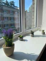 Mitten in der Natur mit guter Anbindung zum Zentrum - B&B Riga