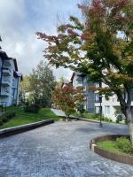Ski Route & Pool - Robles del Volcan Condo - Ferienwohnung Pucón