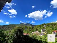 One-Bedroom Apartment with Balcony and Mountain View  