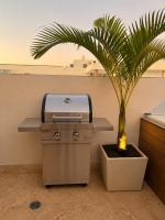 Luxurious Ocean View Penthouse With Private Jacuzzi - B&B Boca Chica