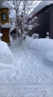 Snow Fox - Ferienwohnung Kutchan