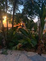 B&B Il Pino - B&B Manduria