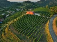 Ca' Perenzin - B&B Tarzo