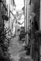 Casa Fernanda - Bed and Breakfast Albiano