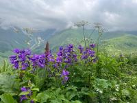 Beghela - B&B Glola