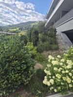 Brixental Suites Hopfgarten by ALPS RESORTS - Bed and Breakfast Hopfgarten im Brixental