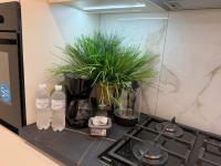Перлина Проскурова Business Class - Bed and Breakfast Khmelnytskyi
