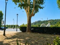 Lungotevere Flaminio Apartment - Stadio Olimpico - Centro Storico 15 Min - Chambres d'hôtes Rome