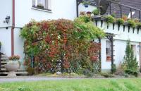 Ferienwohnung Henker - B&B Bad Schandau