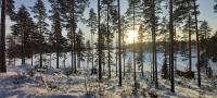 Villa Bagari, Niemenkartano - B&B Kontiolahti