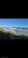 The Historic Railway Cottage - B&B Taumarunui