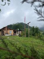 Chalet Gveleti - B&B Barisakho