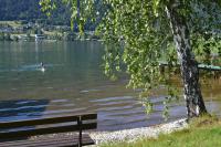Merlschober, Wohnung 4, Ossiacher See - B&B Ossiach