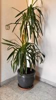 City Vibes Venice - Bed and Breakfast Mestre
