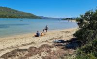 Slow Tides - Calm and Tranquility - Ferienwohnung Knysna