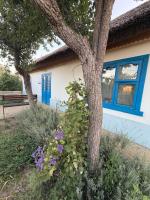 The House of Flowers - B&B Palanca