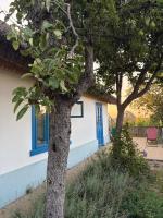 The House of Flowers - B&B Palanca