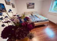 Ferienwohnung Glusavinahüsle - Ferienwohnung Vandans