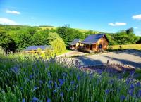 Agroturystyka Lawendowa Dolinka Domki Beskid Niski - B&B Chyrowa