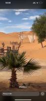 Sun & Sand Desert Camp - Ferienwohnung Merzouga